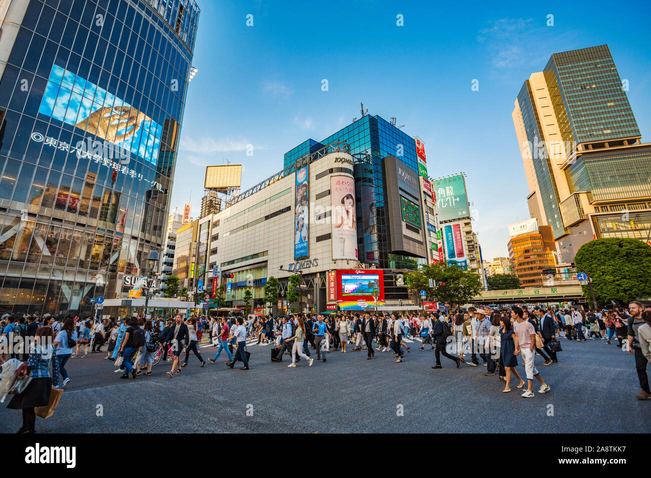 Croisement de Shibuya, l'intersection la plus occupée dans le monde, Tokyo, Japon, Asie Banque D'Images