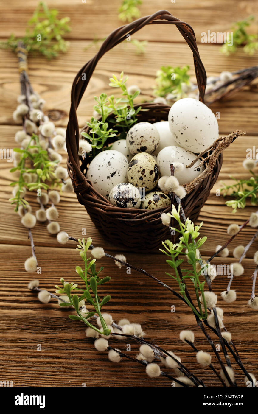 Les oeufs de Pâques colorés et fleurs de printemps Banque D'Images