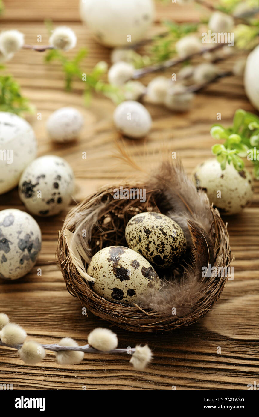 Les oeufs de Pâques colorés et fleurs de printemps Banque D'Images