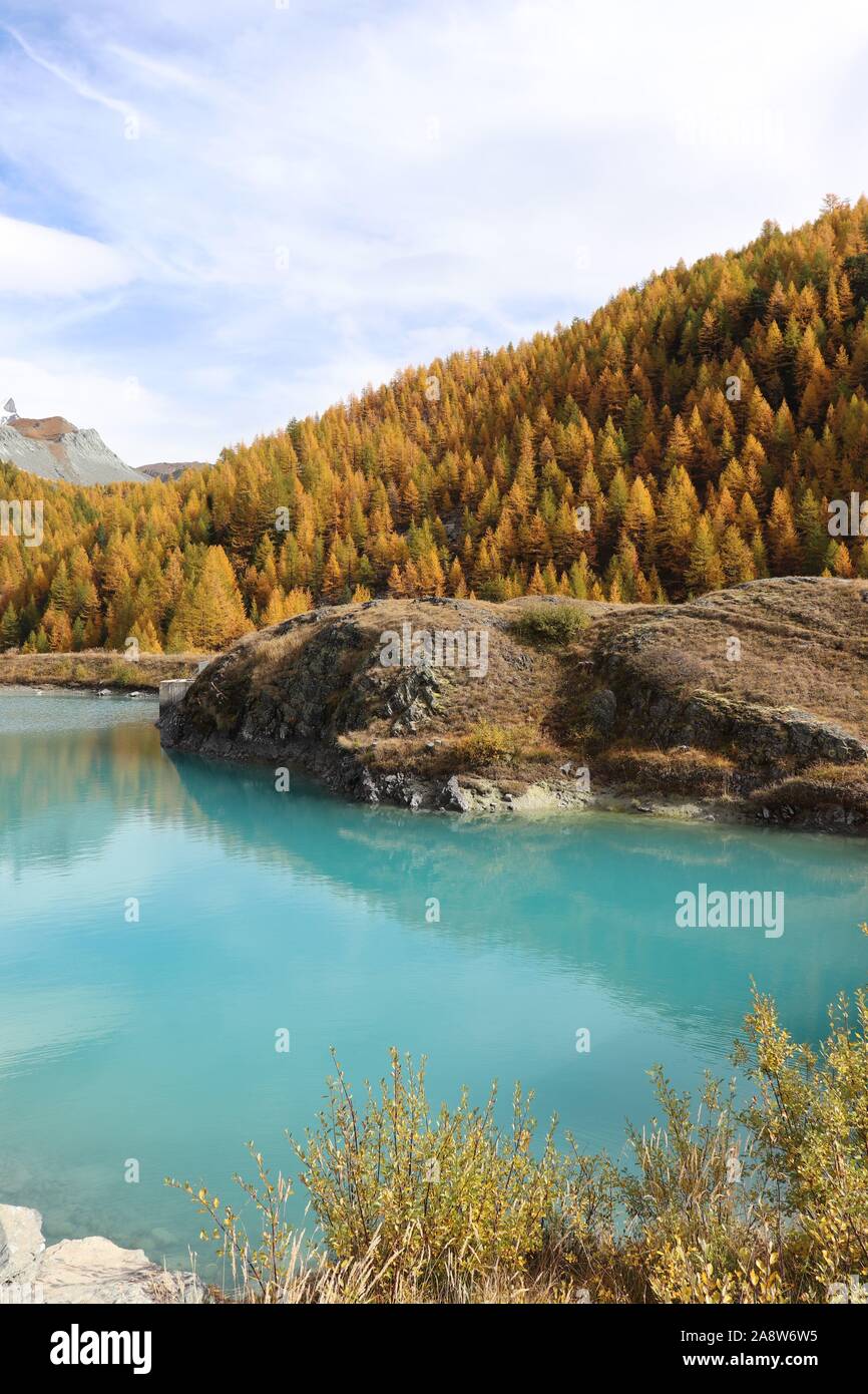 Moosjisee avec de l'eau turquoise du lac et forêt de mélèzes aux couleurs d'automne dans la région de Zermatt. Vu sur le lac 5 randonnée pédestre. Banque D'Images