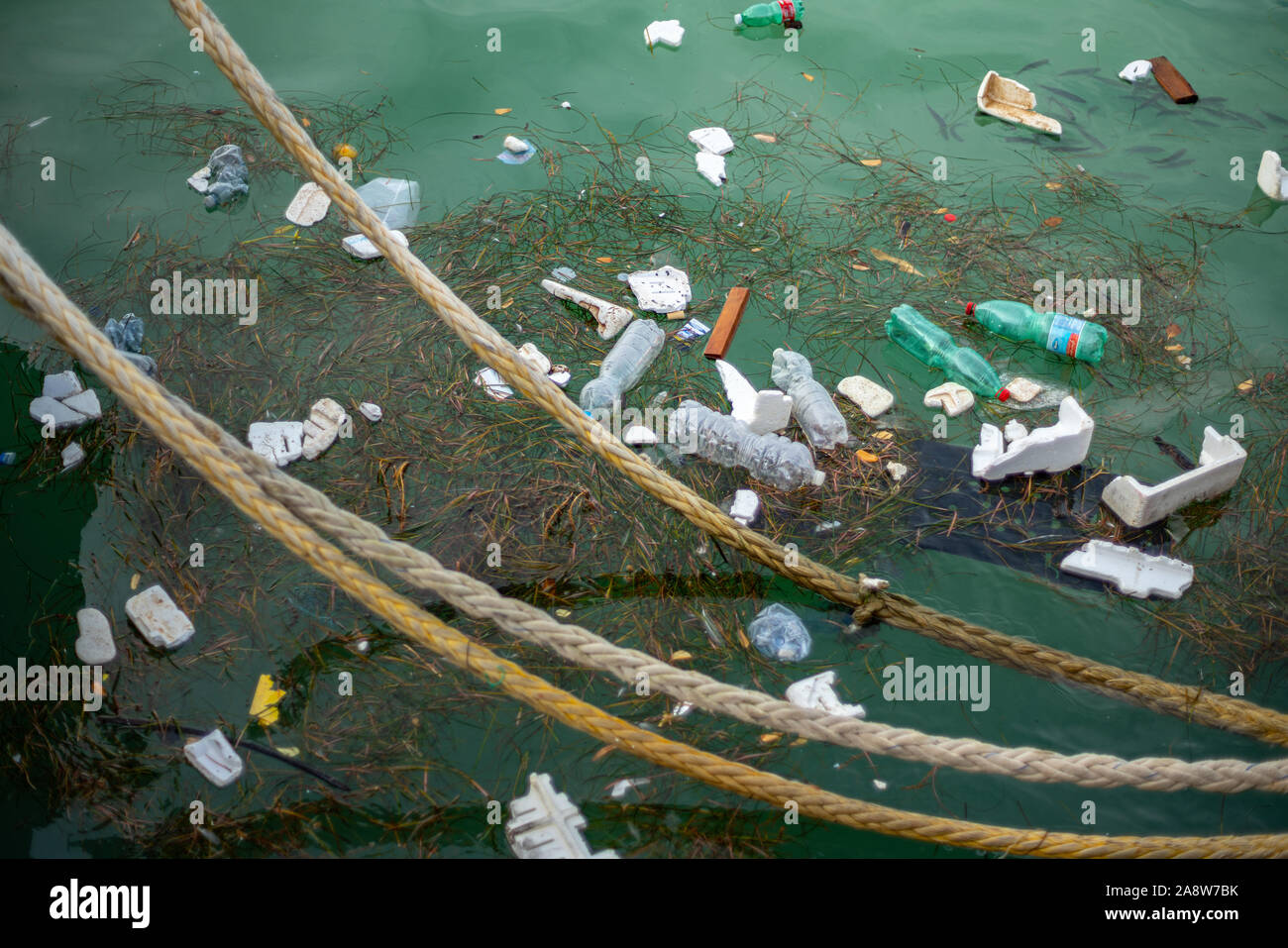 Les déchets en plastique dans l'eau de port Banque D'Images