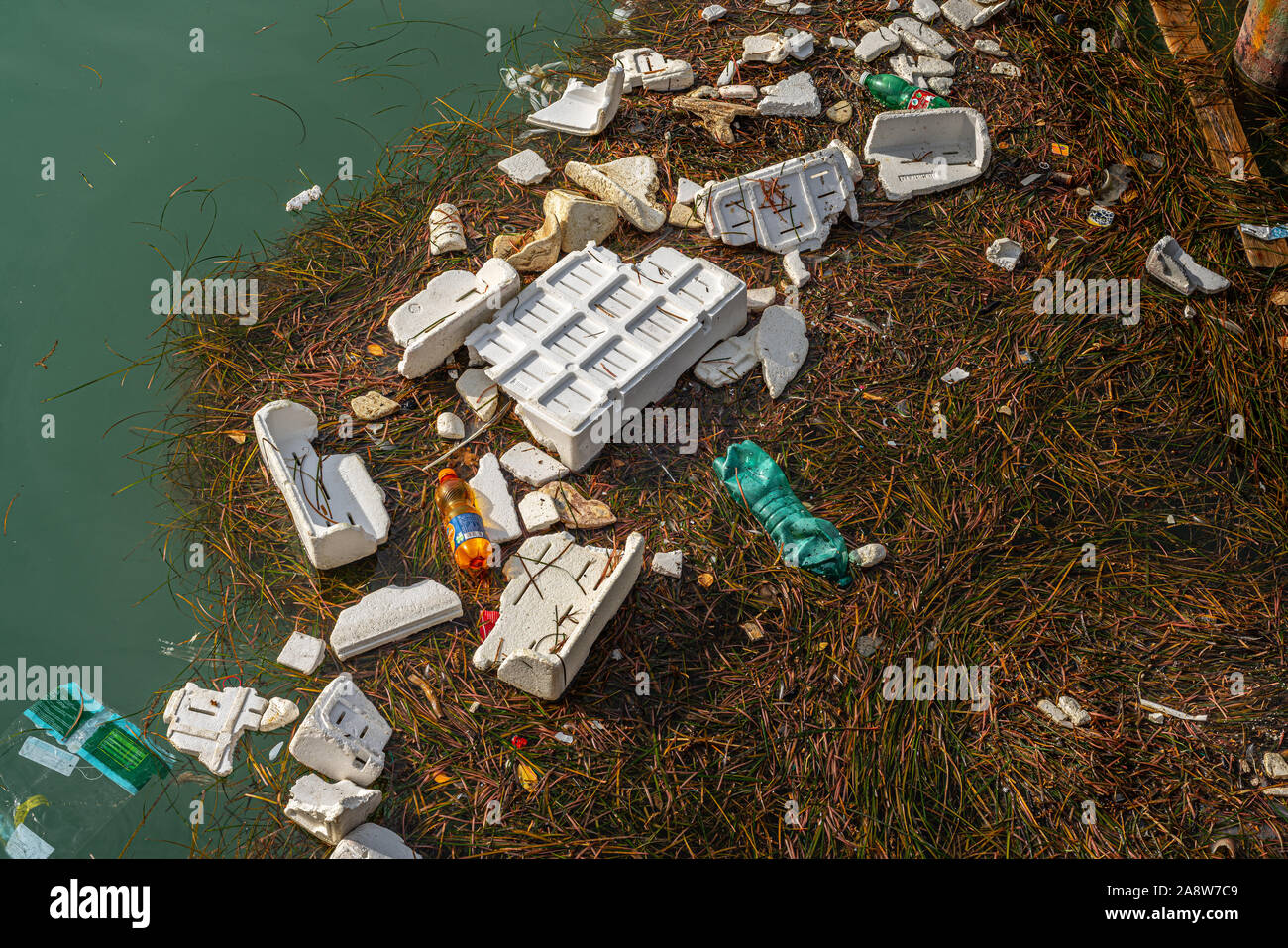 Les déchets en plastique dans l'eau de port Banque D'Images