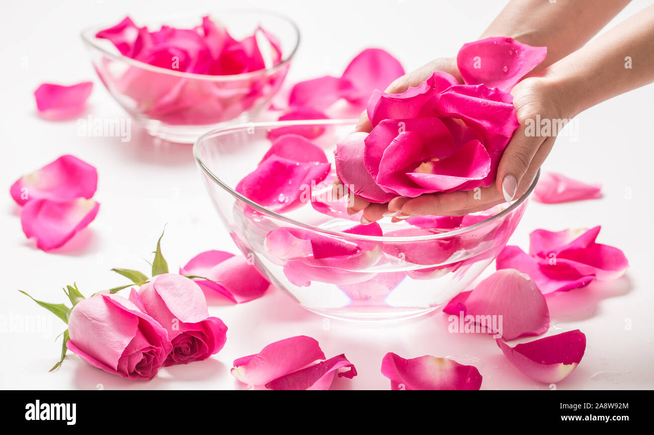 Les mains des femmes et le bol d'eau de spa avec des pétales de roses et Banque D'Images