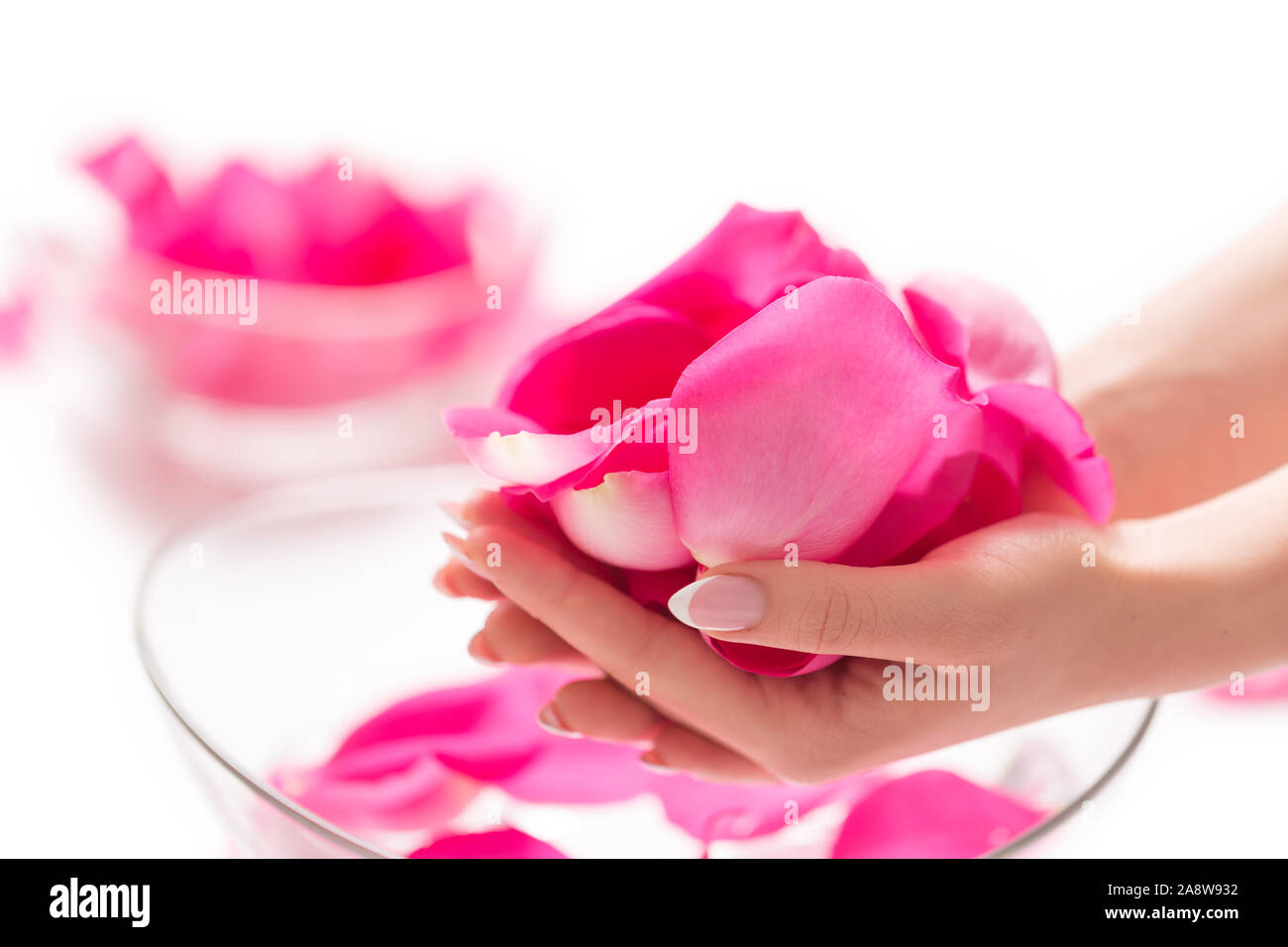 Les mains des femmes et le bol d'eau de spa avec des pétales de roses et Banque D'Images