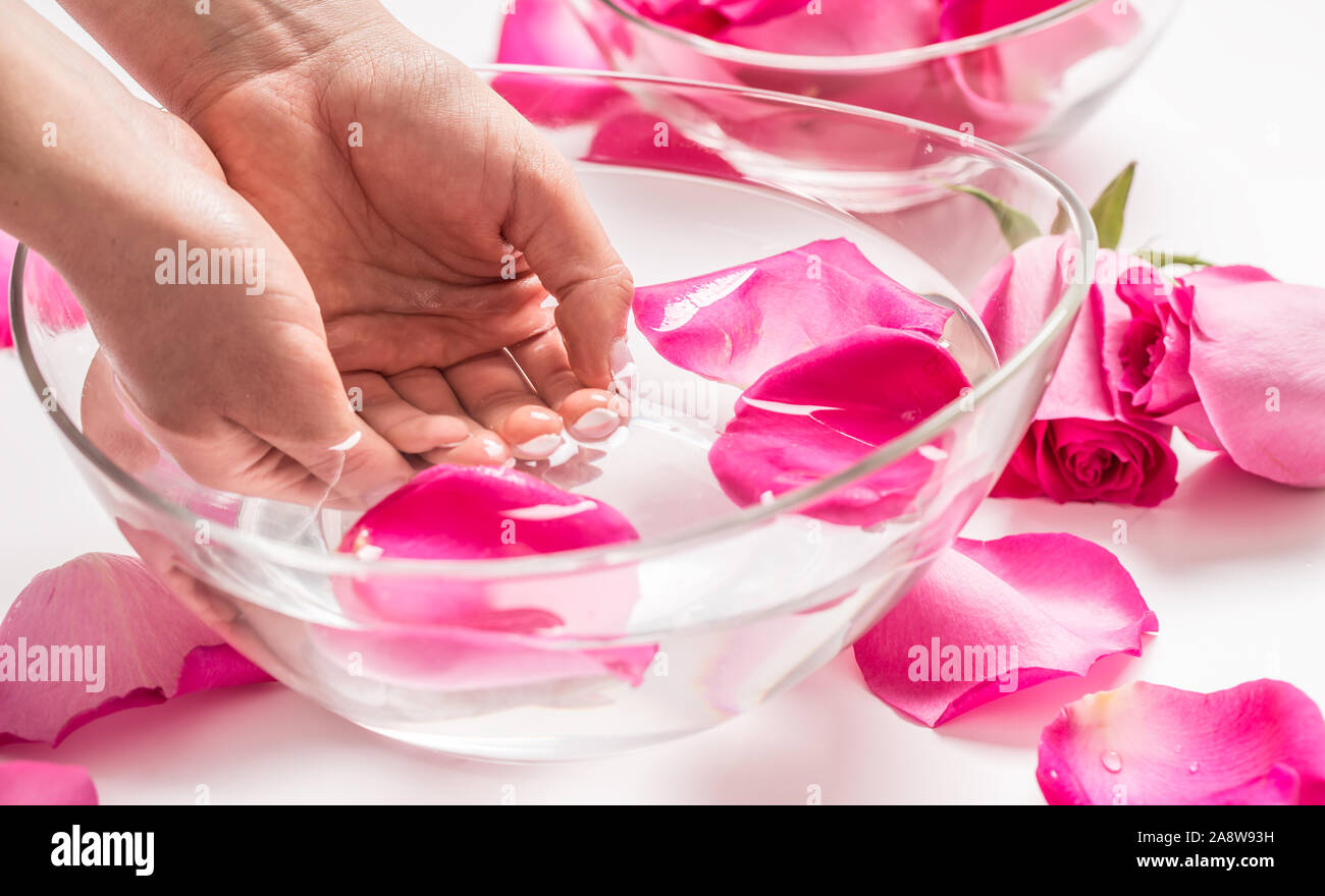 Les mains des femmes et le bol d'eau de spa avec des pétales de roses et Banque D'Images