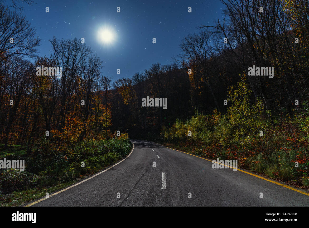 Route asphaltée dans la forêt d'automne sur une nuit de lune Banque D'Images