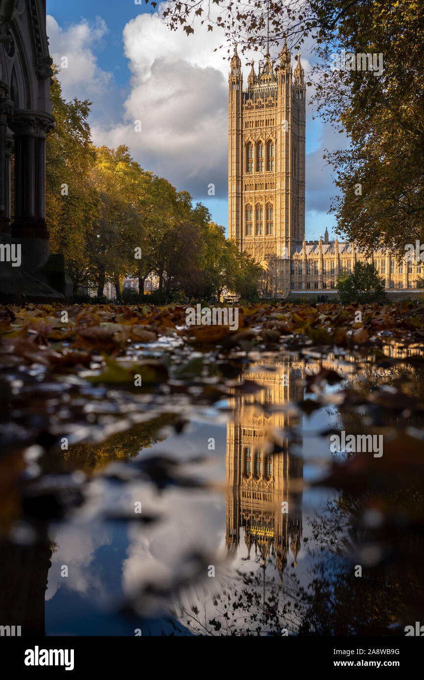 Automne Londres Victoria Tower Palace de Westminster et les feuilles d'automne reflètent dans Victoria Tower Gardens. 8 Nov 2019 la Tour Victoria est un carré de Banque D'Images