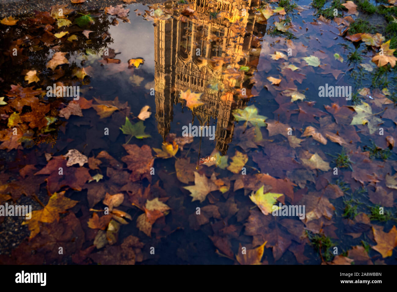 Automne Londres Victoria Tower Palace de Westminster et les feuilles d'automne reflètent dans Victoria Tower Gardens. 8 Nov 2019 la Tour Victoria est un carré de Banque D'Images