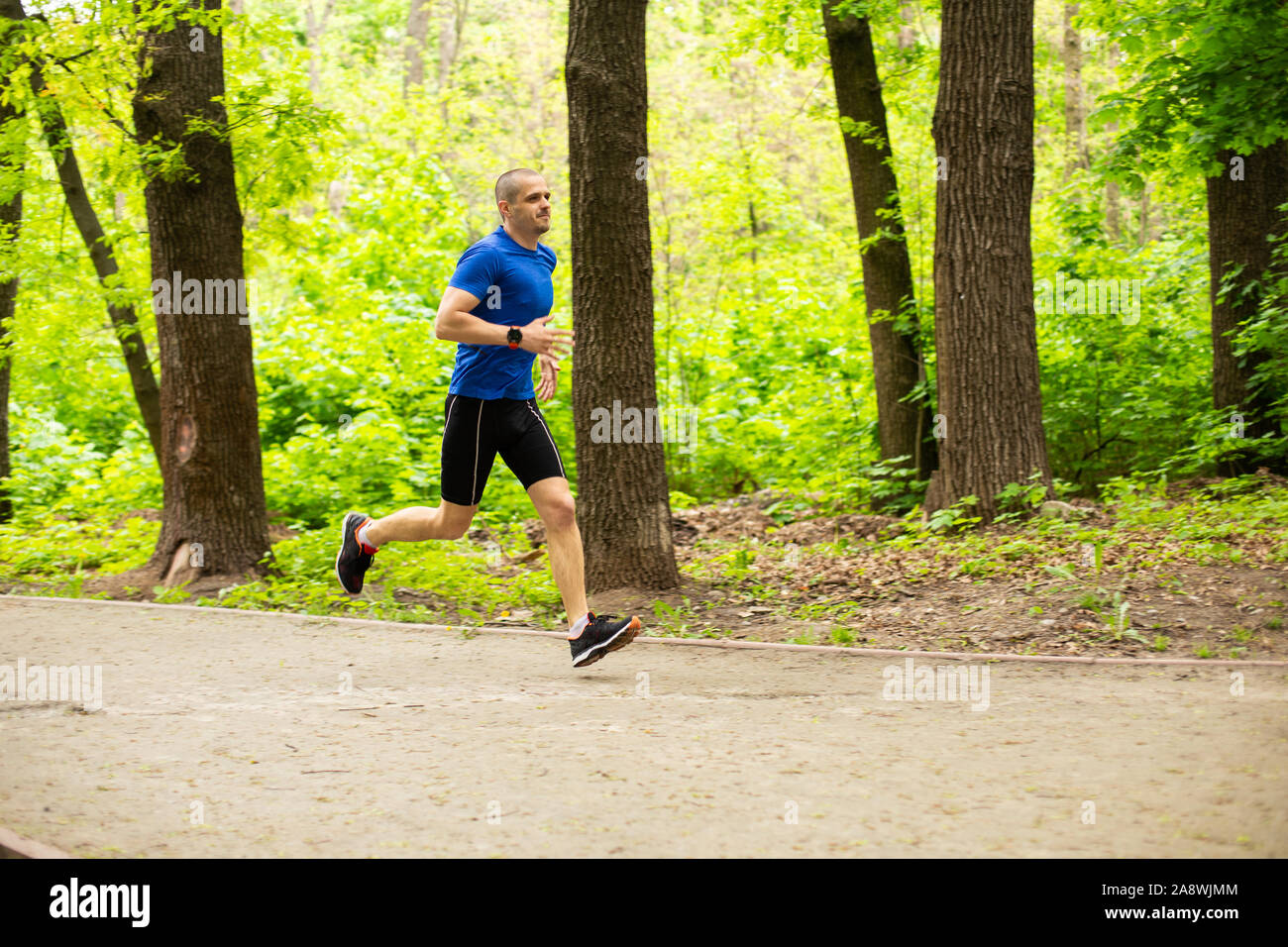 Runner run dans la forêt ou sur le parc. Disque d'entraînement Banque D'Images