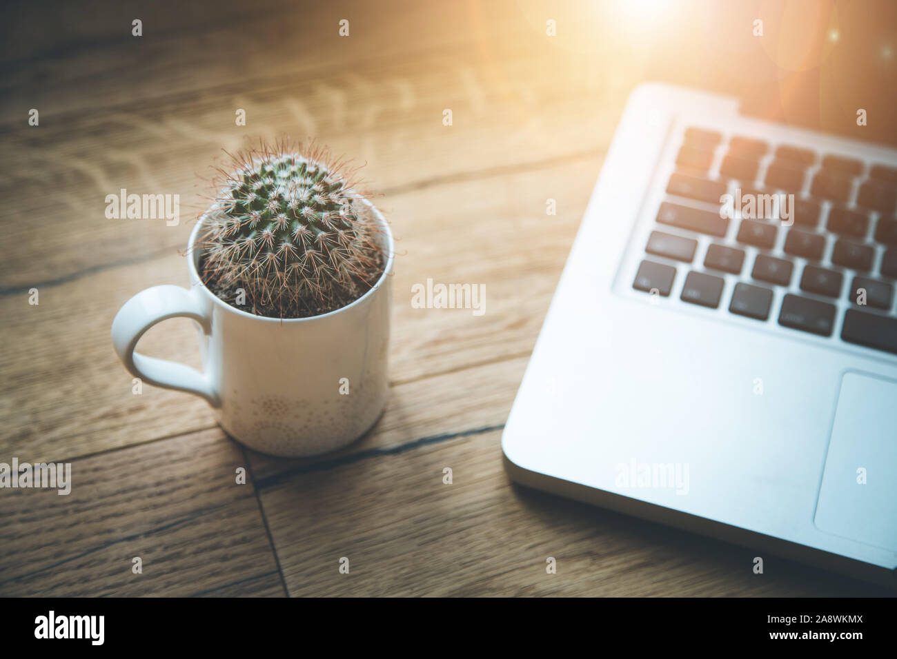 L'espace de travail ci-dessus : ordinateur portable et cactus sur un bureau en bois Banque D'Images