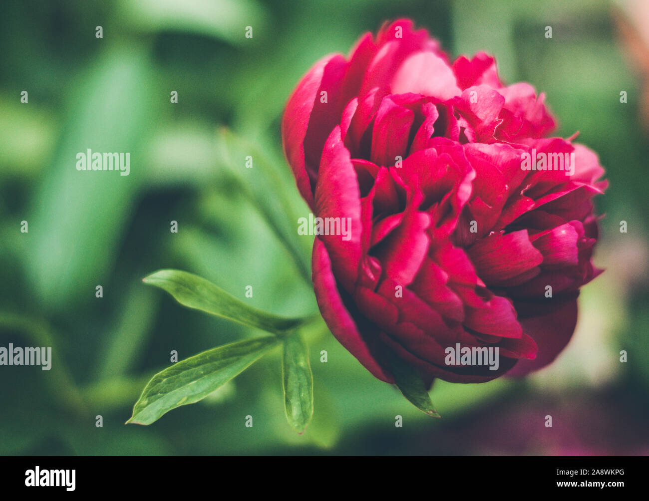 Instagram Style Banque D Image Et Photos Page 7 Alamy