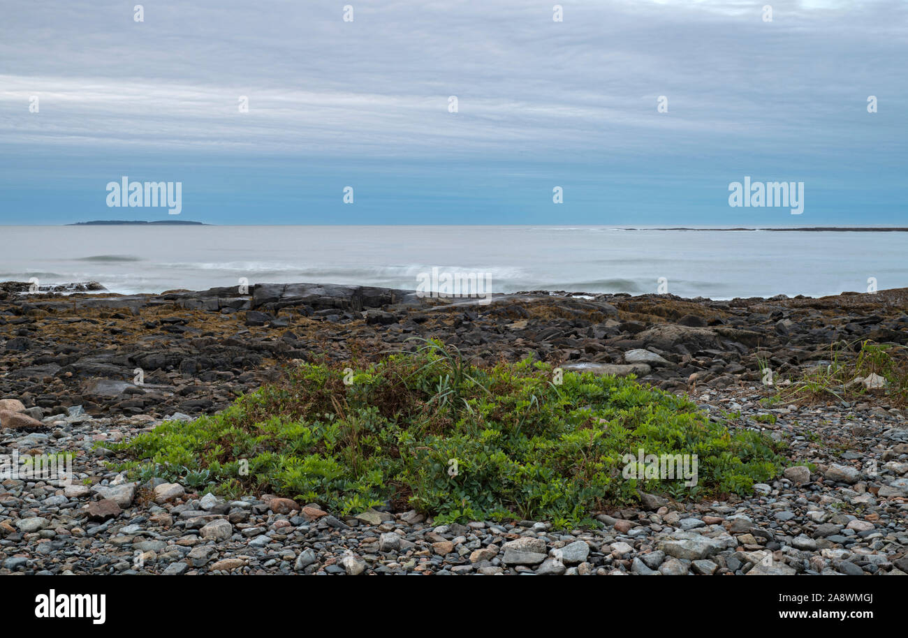 L'aube sur l'océan Atlantique. L'Acadia National Park, Maine, USA. Banque D'Images