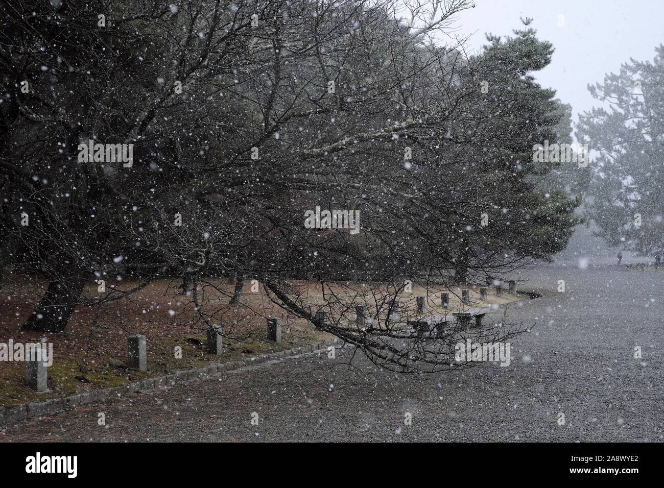 Tempête de neige dans le Kyōto-gyoen Banque D'Images