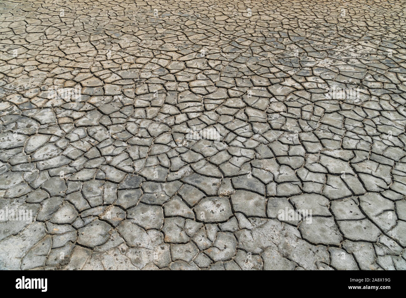 La sécheresse du sol d'une ancienne mer salée - question de l'environnement Banque D'Images