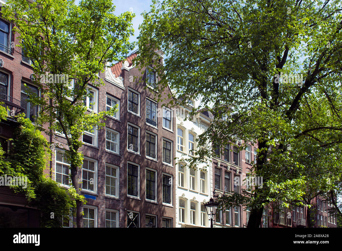 Voir l'historique des bâtiments typiques et traditionnelles, montrant un style architectural hollandais et les arbres à Amsterdam. Il s'agit d'une journée ensoleillée. Banque D'Images