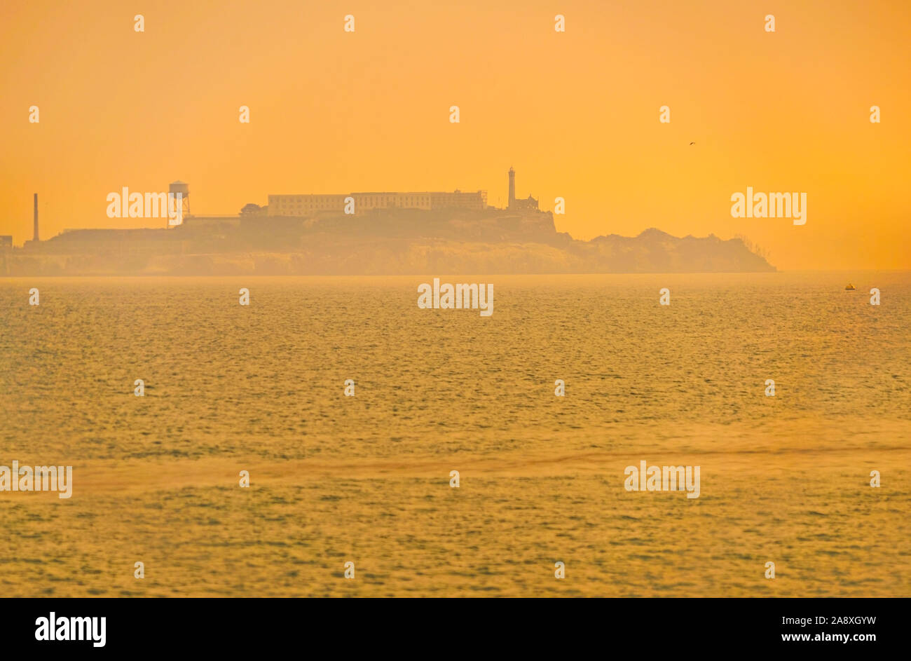 Vue sur l'île d'Alcatraz depuis le Crissy Field Park à San Francisco au lever du soleil. Banque D'Images