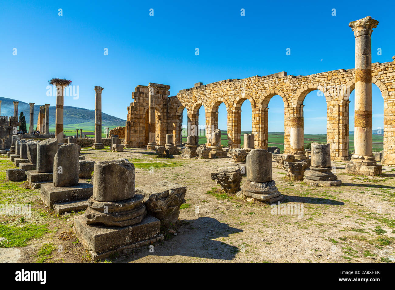 Volubilis, intérieur de la Basilique, les ruines romaines à proximité de la ville de Meknès. Volubilis a été fouillé par les Français 1912-1956 Maroc Banque D'Images