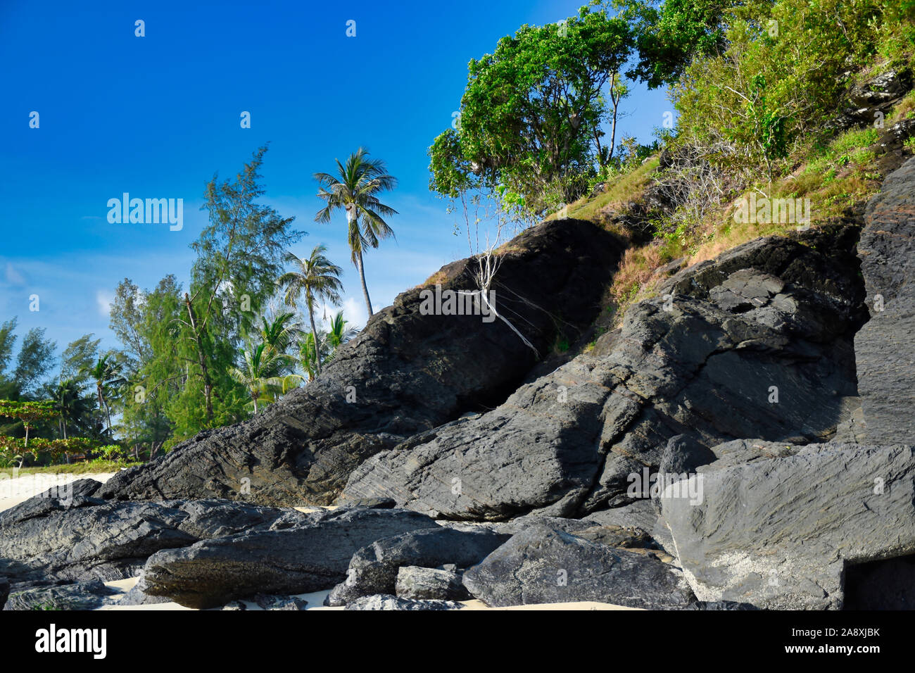 Flanc de rochers noirs et vert des arbres, des plantes sur les rives de la magnifique plage de sable et de superbes exotiques Cenang Beach à l'île de Langkawi, en Malaysi Banque D'Images