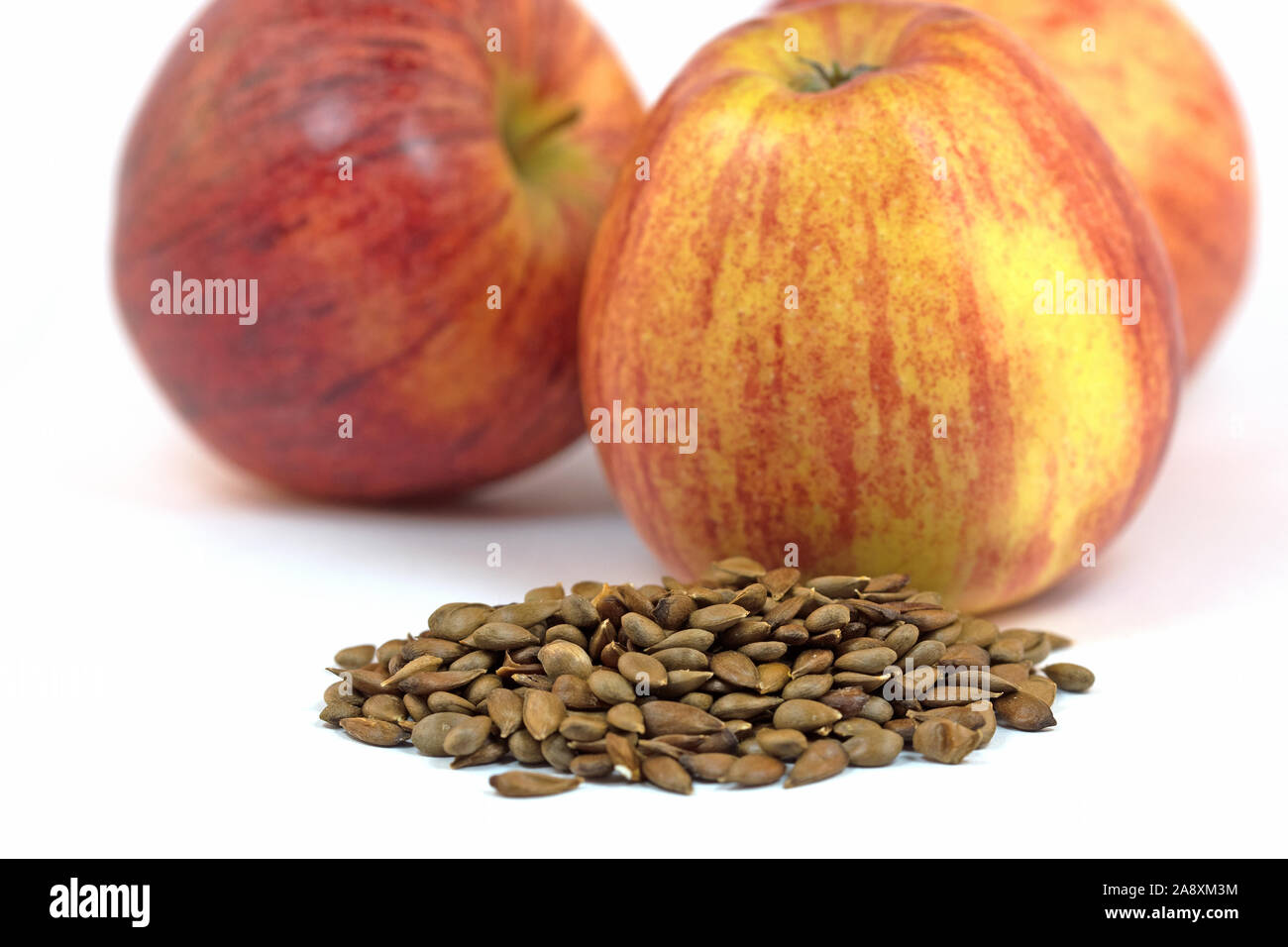 Les pommes et les grains de pommes séchées Banque D'Images