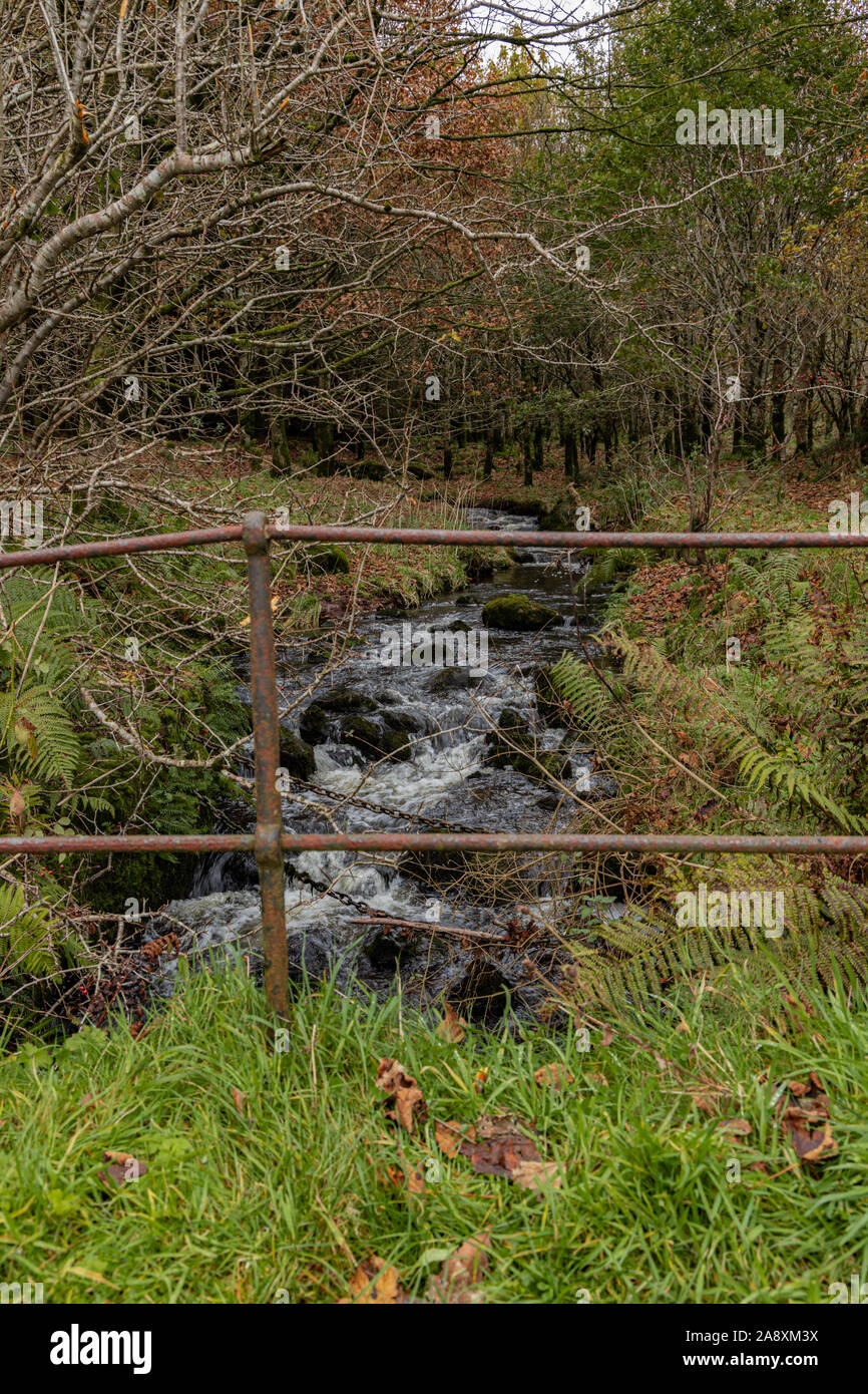 Un petit ruisseau coule sous un chemin avec de vieux fer à repasser les mains courantes, la fin de l'automne les arbres de vert et de brun Banque D'Images