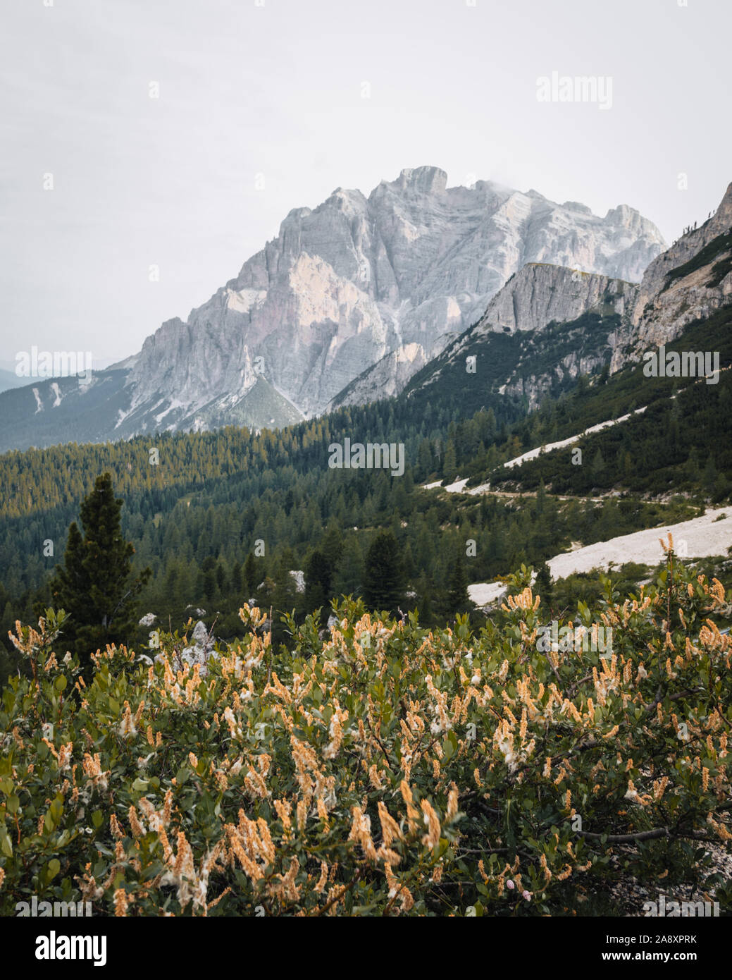 Vacances d'été dans les Dolomites, Italie. Randonnée dans les montagnes. Via ferrata. Lever du soleil à Alpe di Siusi/Seiser alm. Neige. Banque D'Images