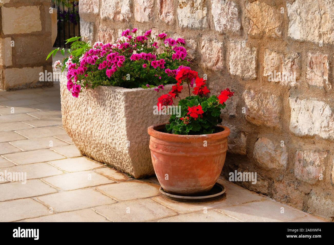 Pots avec buissons de plantes fleuries. La conception de paysage. Le  géranium. Arbustes à fleurs rouge et violet dans des pots de fleurs en  céramique Photo Stock - Alamy