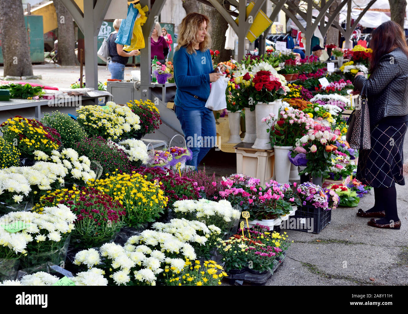 Vente de fleurs fleuriste à caler dans l'air extérieur marché couvert, Pula, Croatie Banque D'Images