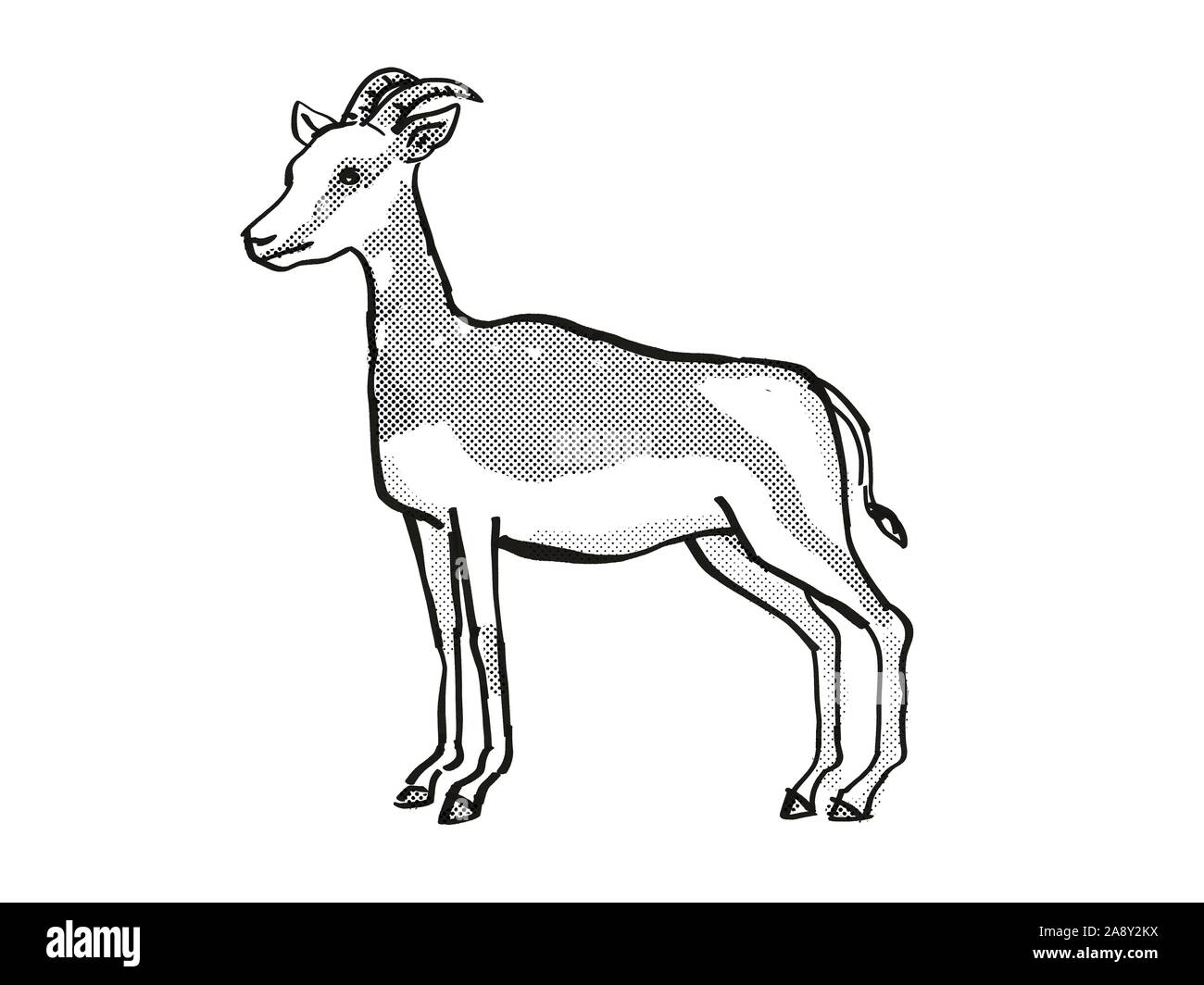 Retro Style Cartoon Dessin Dessin D Une Gazelle De Mhorr Une Espece D Especes Isolees Sur Des Arriere Plan En Noir Et Blanc Full Body Photo Stock Alamy