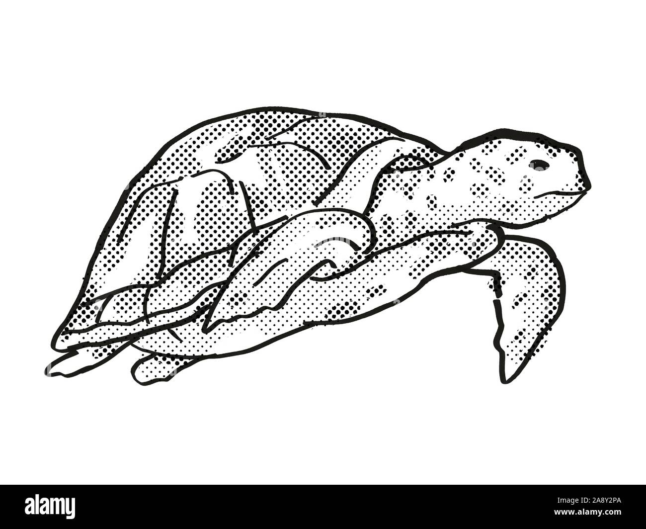 Retro style cartoon dessin dessin d'une tortue de mer verte, une espèce ...