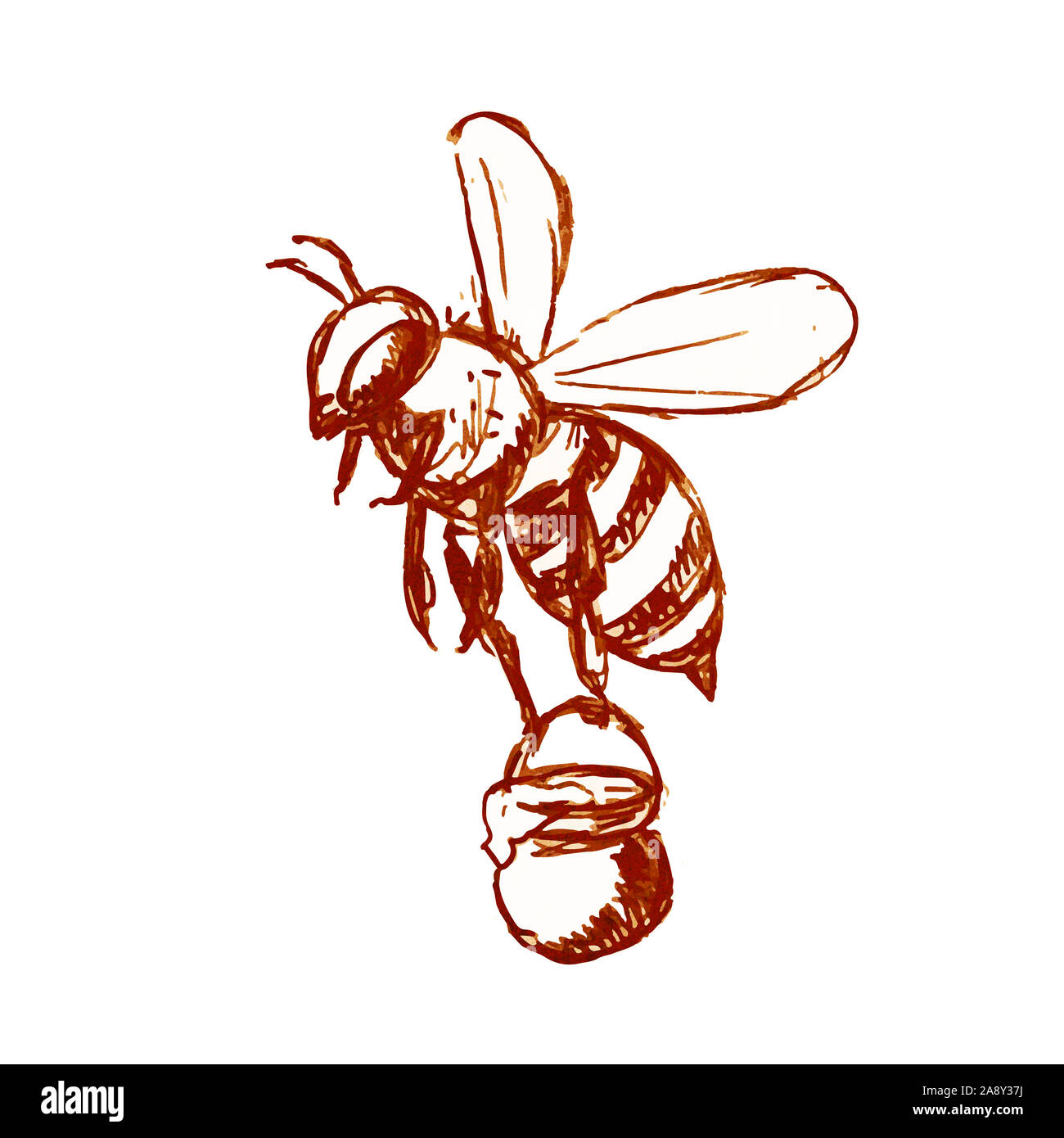 Croquis dessin illustration style d'abeille portant un seau de miel flying  fait en noir et blanc sur fond isolé Photo Stock - Alamy