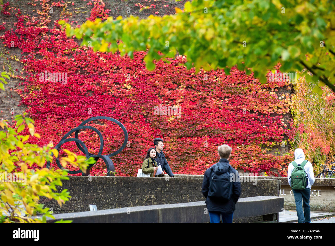 Photo datée du 1er novembre 2019 montre les étudiants de Cambridge en passant devant un salon d'automne de Boston ivy à Churchill College sur un vendredi après-midi humide froid.Des vents forts et des pluies sont prévues pour la fin de semaine. Banque D'Images