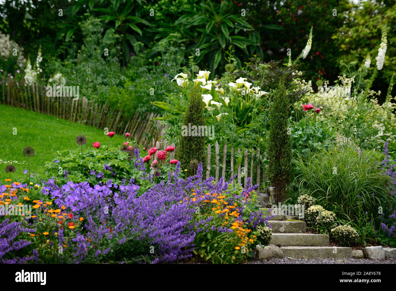 De vivaces, frontières,,de,mixte,plantes vivaces,Chalet jardin floral,RM  Photo Stock - Alamy