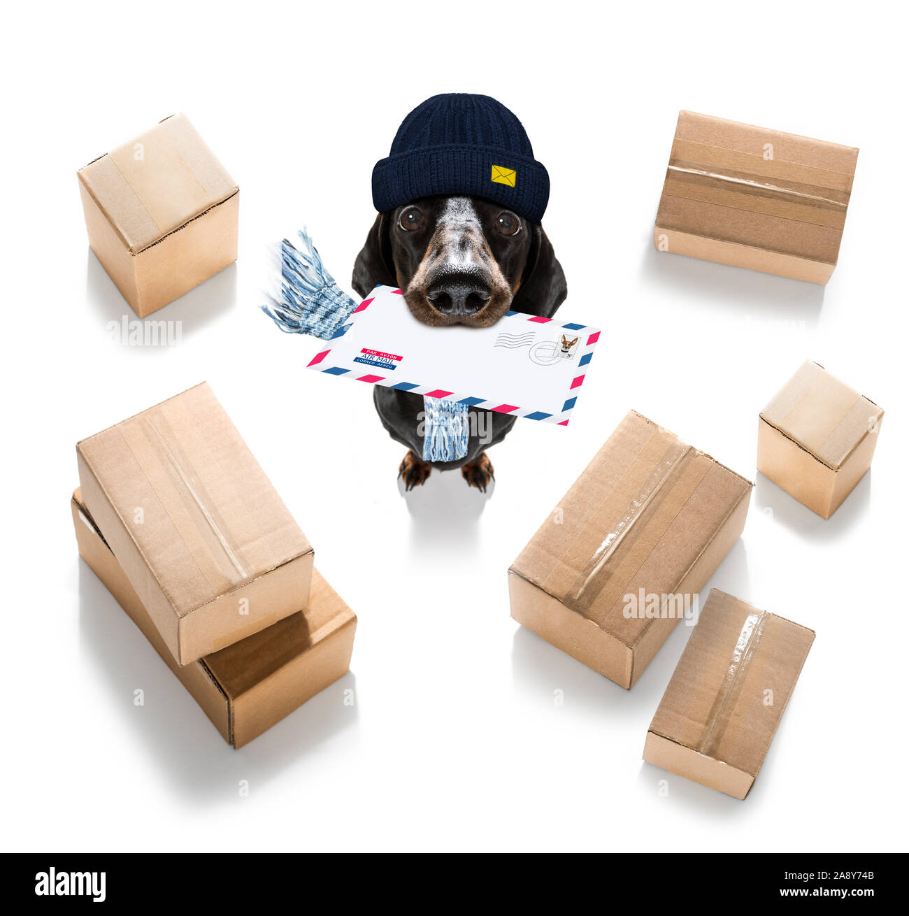Postman teckel chien saucisse offrant une grande enveloppe vide blanc vide, avec des boîtes et paquets Banque D'Images