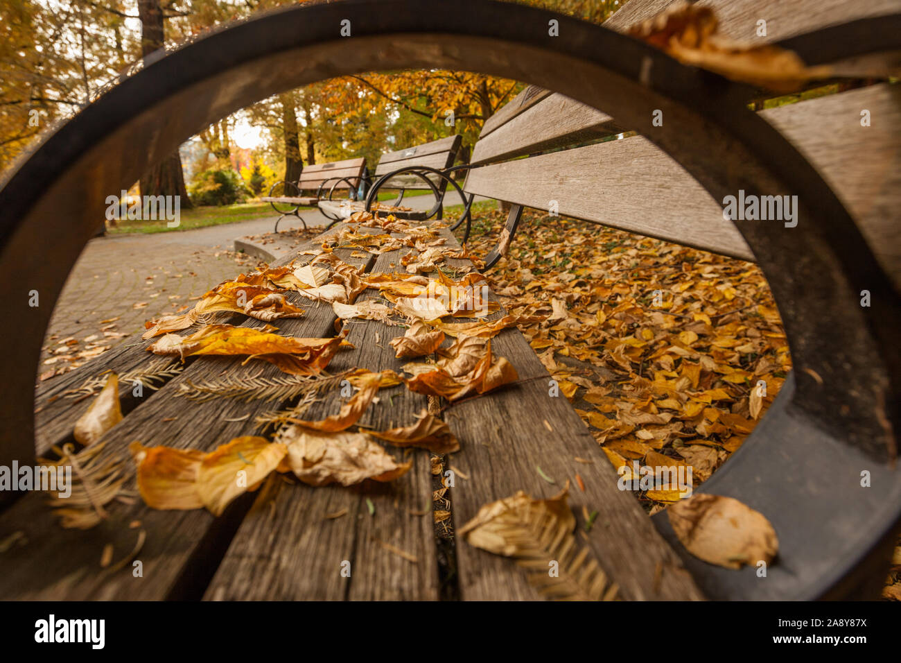 Banc de parc en automne Banque D'Images