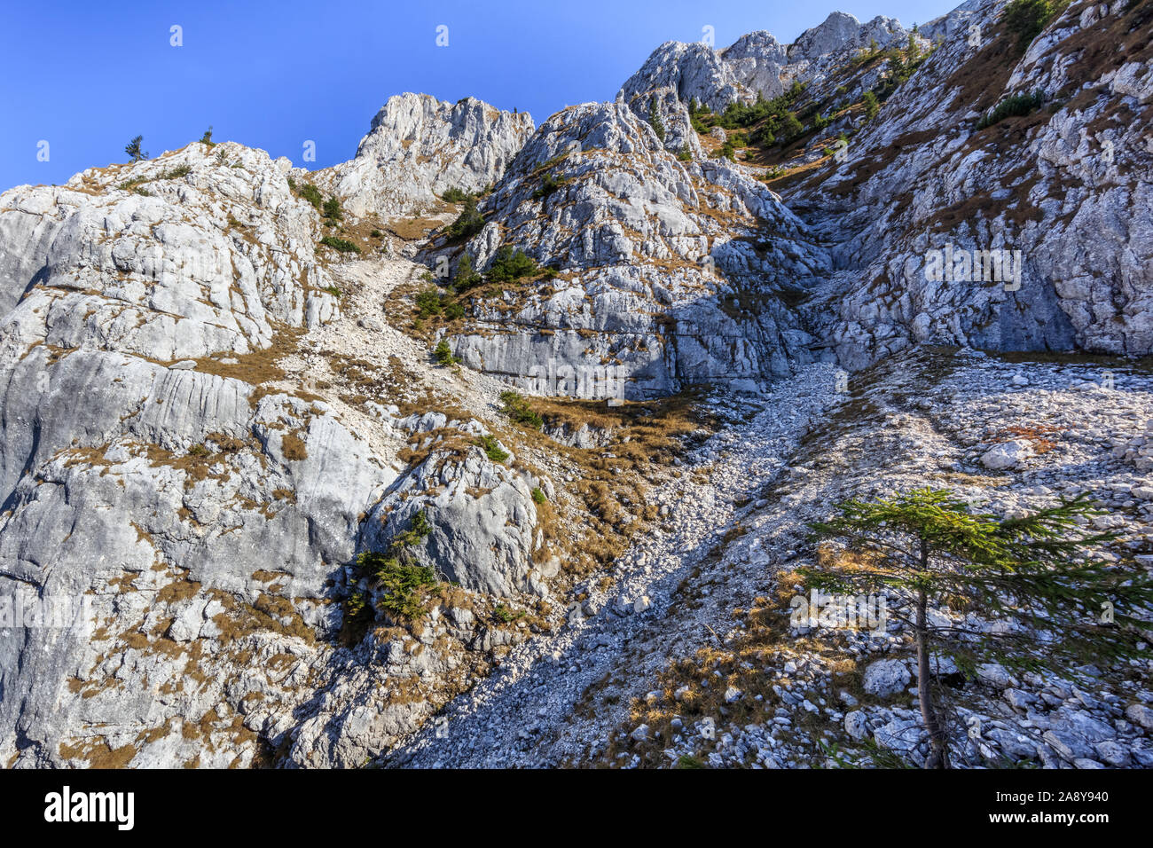Paysage de montagne dans les montagnes Piatra Craiului, Roumanie Banque D'Images