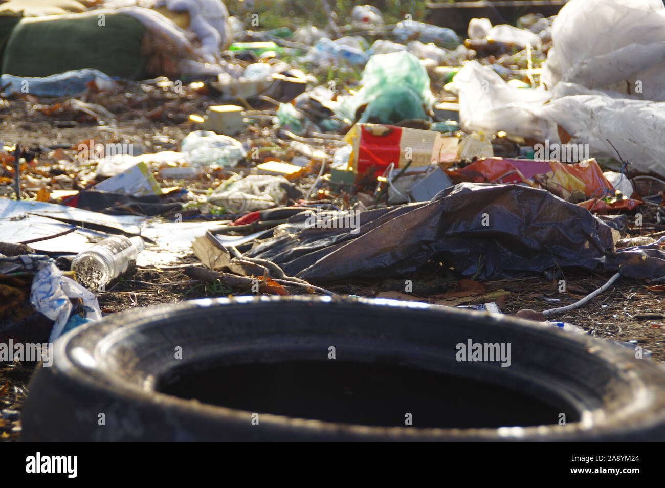 Tas de déchets plastiques dans la forêt. Concept de protection de l'environnement. Banque D'Images