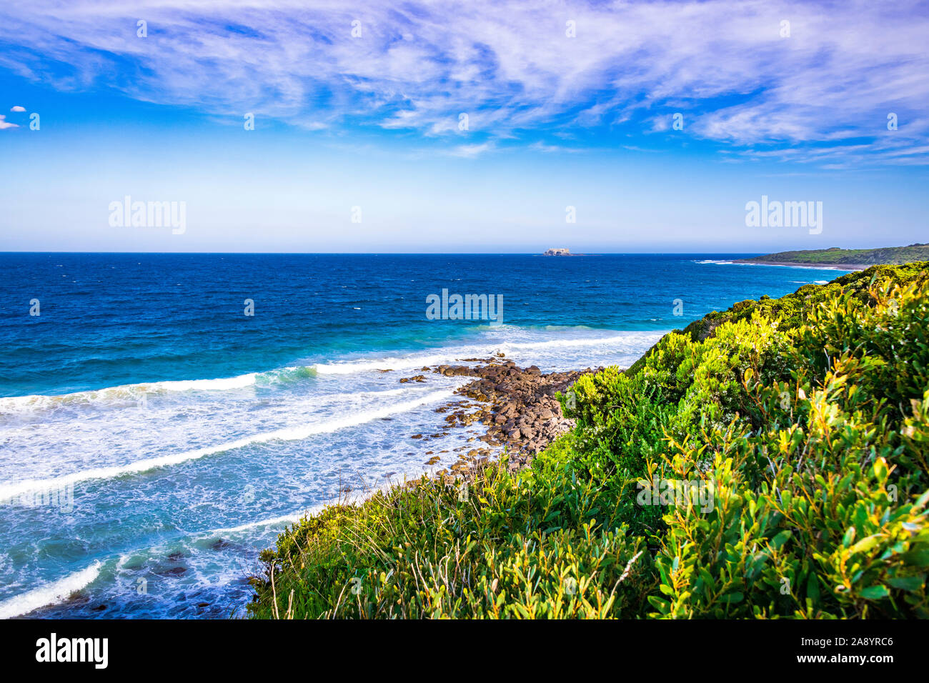 Naseux noir à Portland Point, Victoria, Australie. Banque D'Images