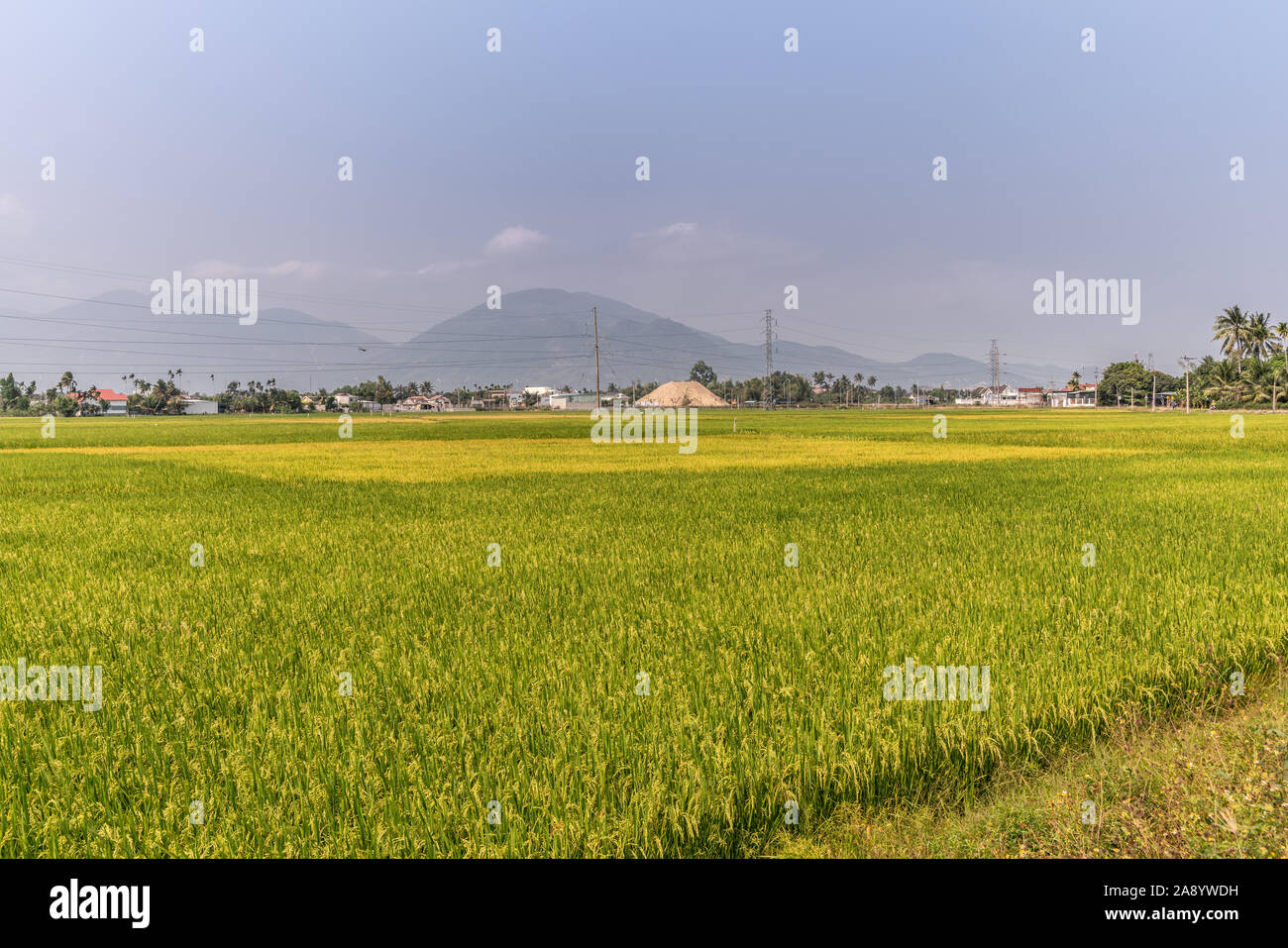 Nha Trang, Viêt Nam - Mars 11, 2019 : Phuoc Trach quartier rural. à plus de rizières vert vers les montagnes et le logement en entre sous ligh Banque D'Images