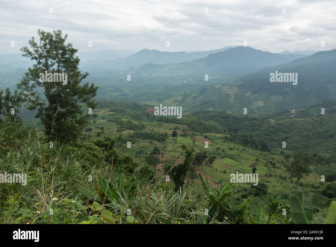 Les vallées des montagnes du Vietnam arbres et champs dans la campagne Banque D'Images