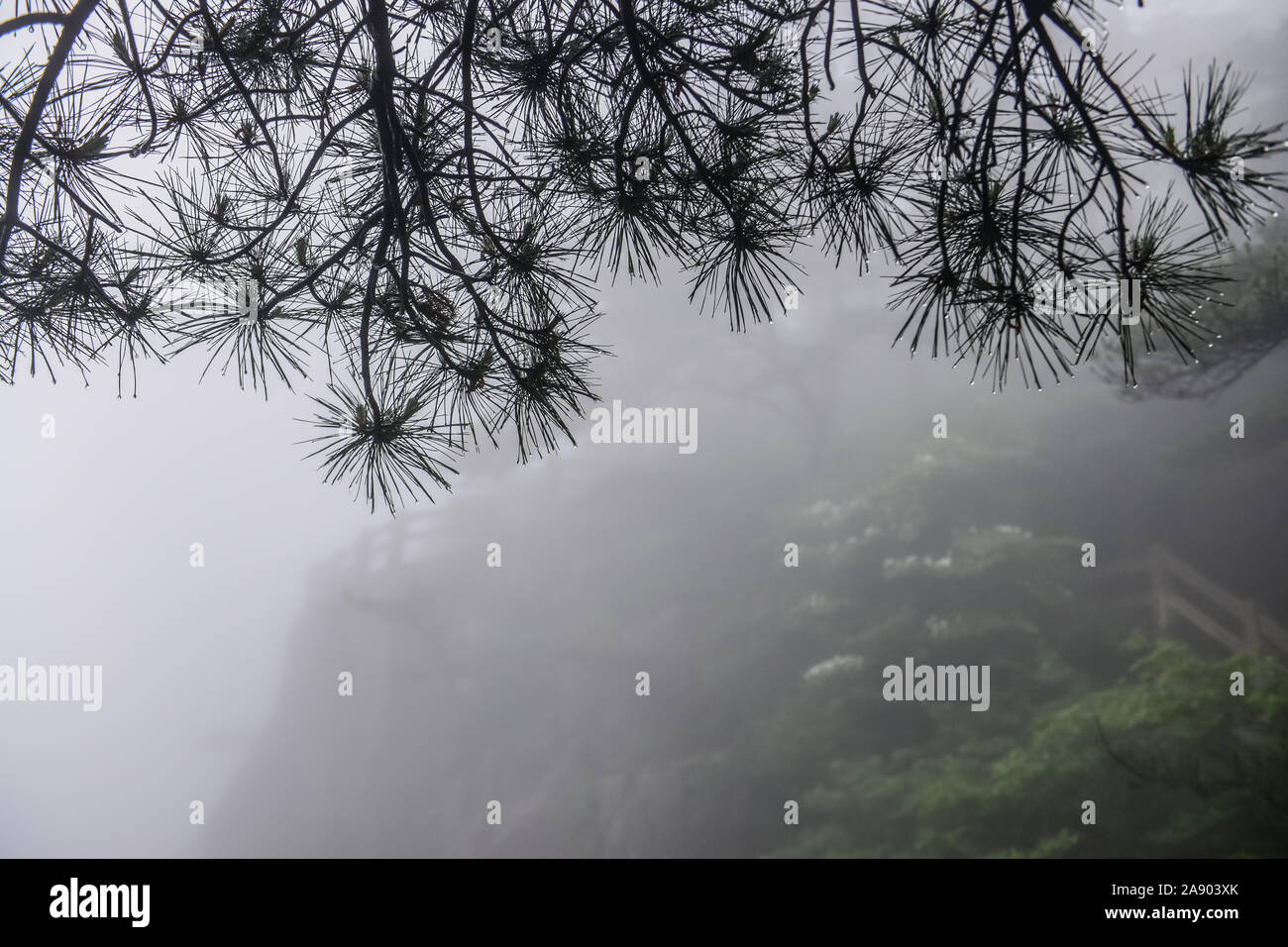 Mont Huangshan Mountains.jaune.Une chaîne de montagnes dans le sud de la province de l'Anhui en Chine orientale. Banque D'Images