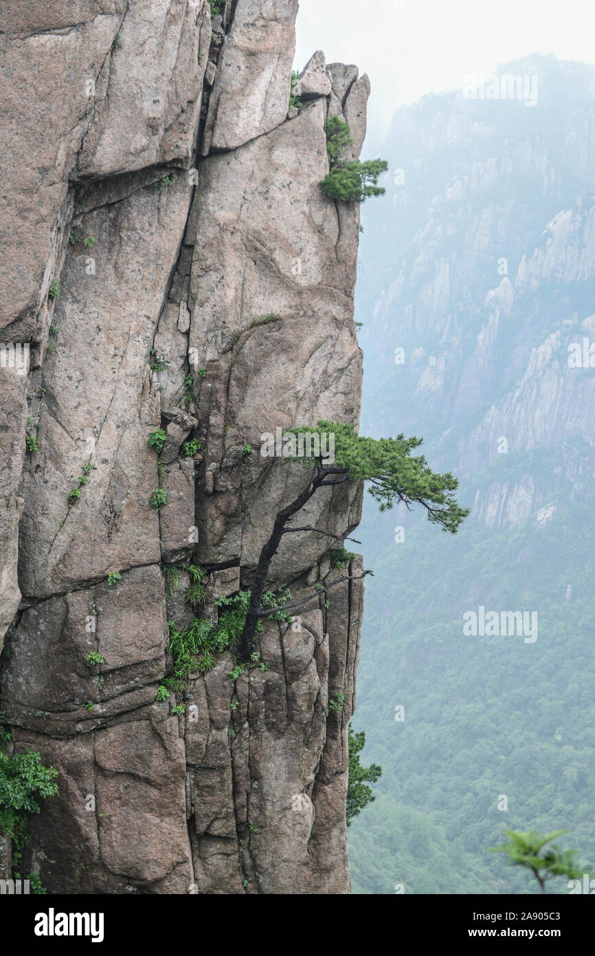 Mont Huangshan Mountains.jaune.Une chaîne de montagnes dans le sud de la province de l'Anhui en Chine orientale. Banque D'Images