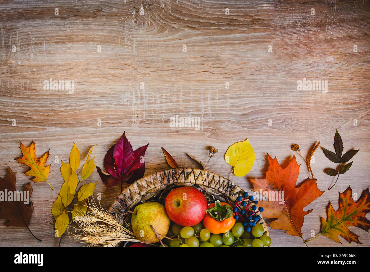 Vue de dessus de divers fruits d'automne et de feuilles dans un panier en osier sur la table en bois. Copier l'espace. Banque D'Images