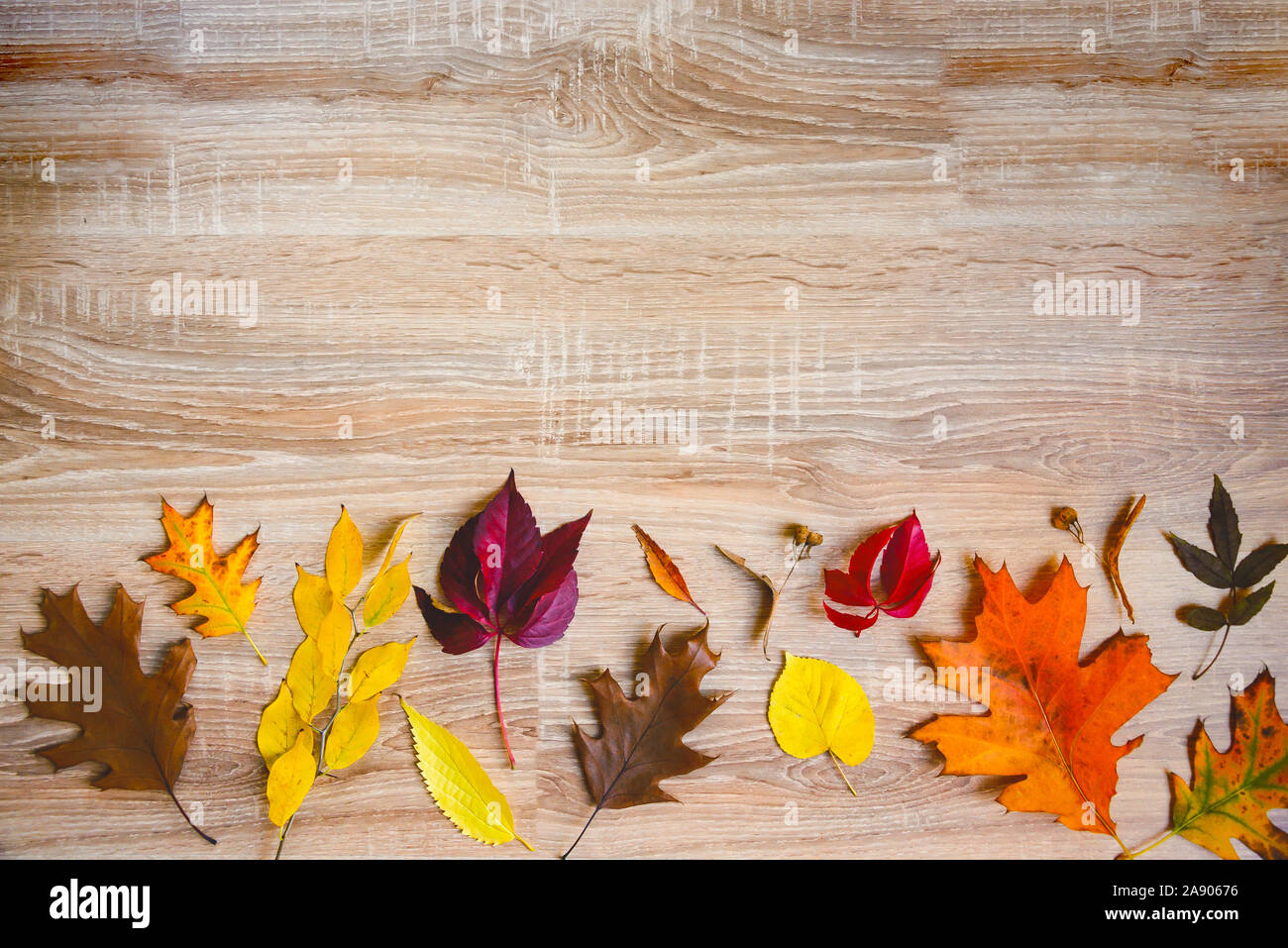 Vue de dessus de diverses feuilles aux couleurs automnales sur fond de bois. Copier l'espace. Banque D'Images