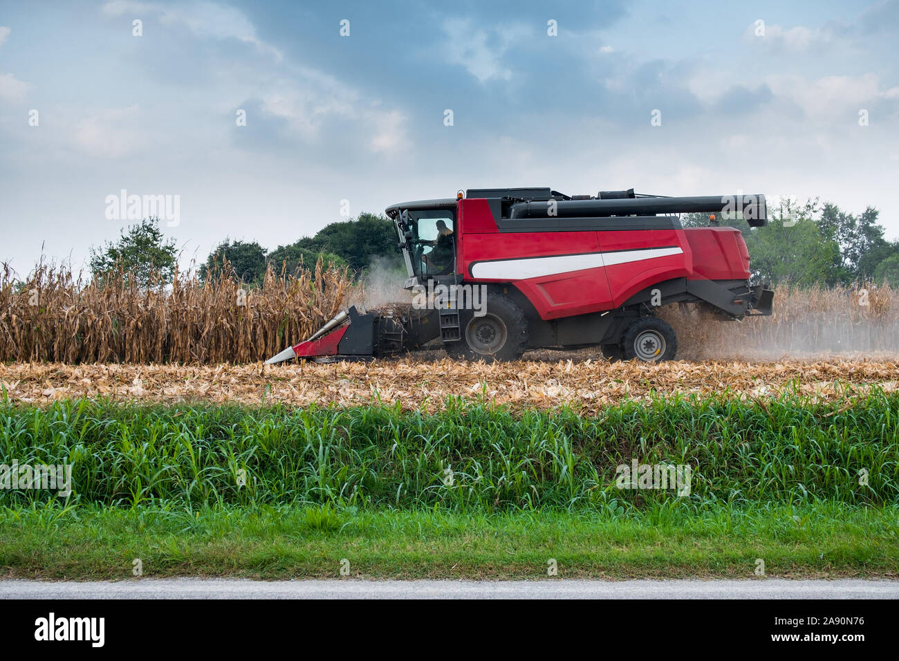 La récolte du maïs moissonneuse-batteuse en champ campagne italienne, symbole de l'agriculture et de l'économie crise Banque D'Images