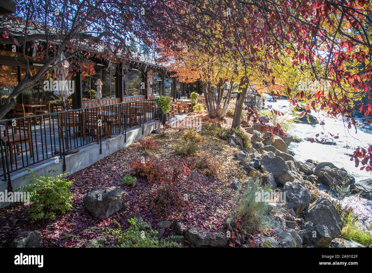 Couleurs d'automne à l'extérieur de la Riverhouse sur le Deschutes, un hôtel de premier choix à Bend, Oregon, sur la rivière Deschutes. Banque D'Images