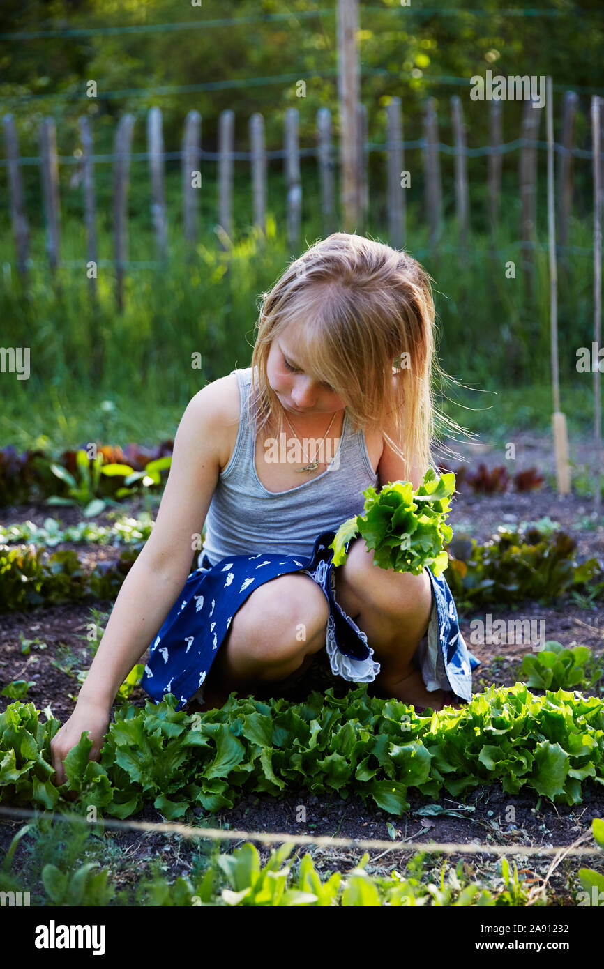 Fille dans le jardin Banque D'Images