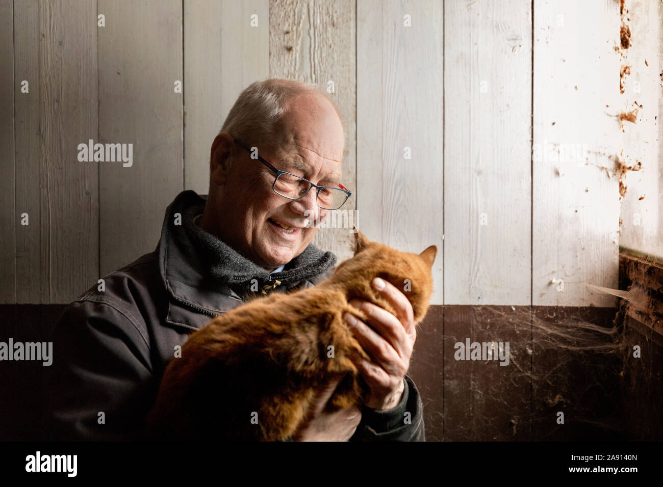 Senior man with cat Banque D'Images