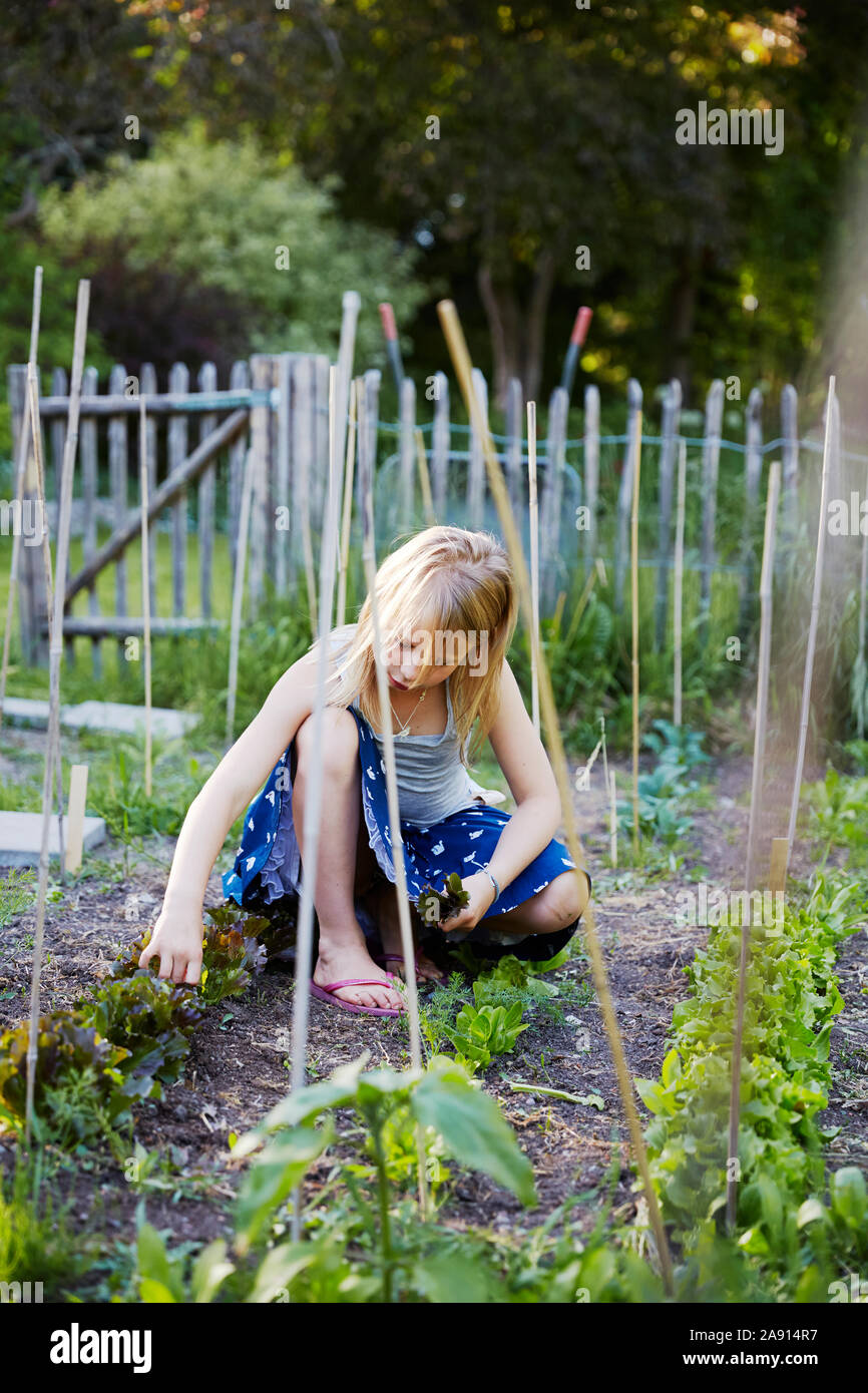 Fille dans le jardin Banque D'Images
