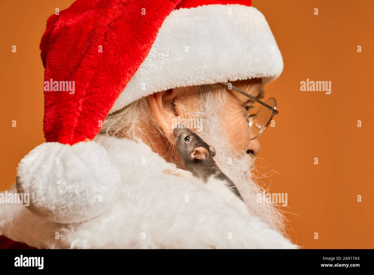 Portrait D'une Mignonne Petite Elfe Avec Un Homme De Neige Portant Le  Costume De Noël Sinterklas Santa Claus Illustration Vectorielle D'hiver