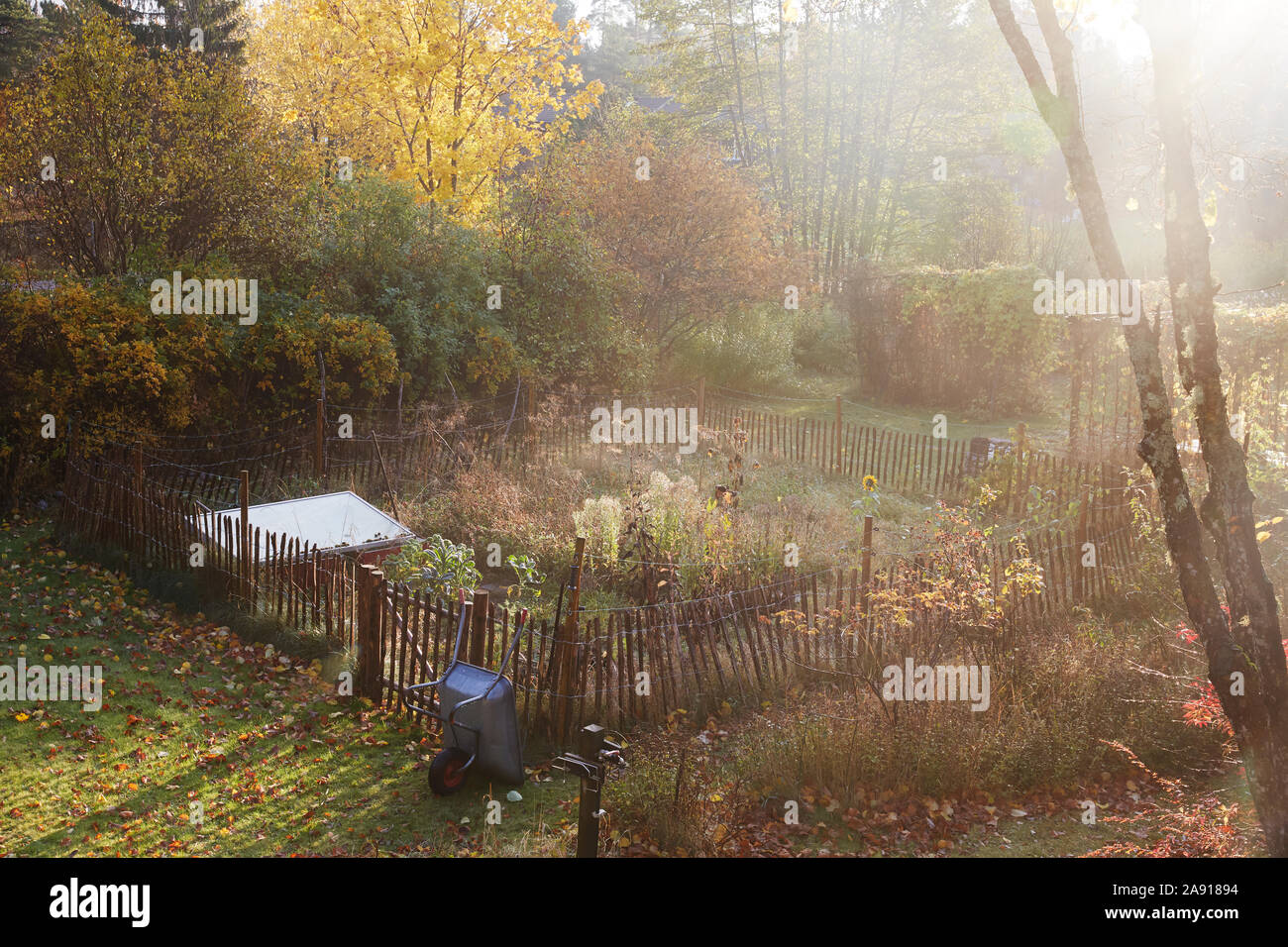 Jardin automne Banque D'Images